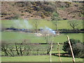 Felling and clearing trees near the Talyllyn railway line