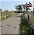 Cattle grid warning sign, Eglwysilan Road, Eglwysilan