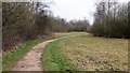 Path near the eastern edge of  Brierley Forest Park