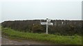 SS2323 : Signpost at Kernstone Cross by David Smith