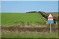 Crop field and hedgerow, Harley