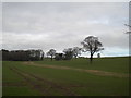 Field east of Whitehouse Common