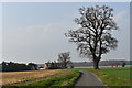 The lane towards Walkgate Cottages