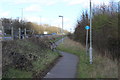 SK8963 : Cycle lane by A46 towards Lincoln by M J Roscoe
