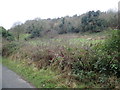 Wooded slopes on the West side of Quilly Road