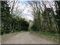 Road between Bradenham and Holme Hale