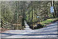 Minor road down towards Cwm Farm