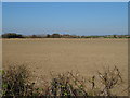 Flat field near Black Barn