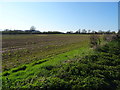 Farmland off the A458 near Romanee