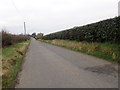 J0014 : View NW along Dungooley Road by Eric Jones