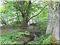 Footbridge over a little stream