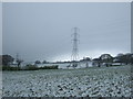 Grazing and pylons