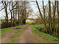 Footpath towards Windle