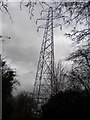 Pylon among the trees north of Wall Heath