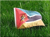 TG2008 : The national flag of Mozambique by Evelyn Simak