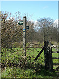 TM4899 : Footpath signpost off Market Lane by Geographer