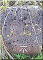 Boundary Stone with OS Cut Mark