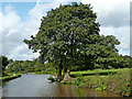 Trent and Mersey Canal north of Barlaston in Staffordshire