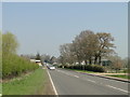 A140, a Roman Road headed towards Venta Icenorum