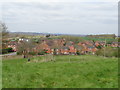 Houses on Birch Lane, Severn Stoke