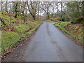 Tree enclosed road (B8024) near to Dunmore