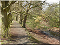 Former canal, Selly Oak Park