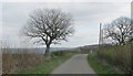 Lane to Lower Eastfield Farm