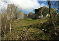 SY9582 : Corfe Castle by Derek Harper