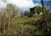 SY9582 : Corfe Castle by Derek Harper