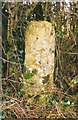 Old Milestone by the A4095, Witney Road, north of Freeland