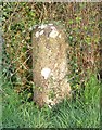 Old Milestone by the A44, Woodstock Road, Begbroke