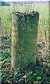 Old Milestone by Broad Town Road, Broad Hinton