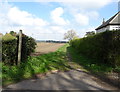 Bridleway towards Great Gutter Lane