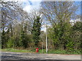 Woodland beside South Ella Way, Kirk Ella