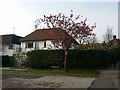 Kingsley Close, Hampstead Garden Suburb