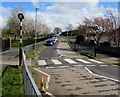 Zebra crossing near Malpas Court Primary School, Newport