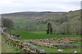 Sheep at Aygill