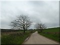 Road and landscape of Hilltown Hill 