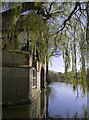 The Thames at Shillingford: view downstream from Shillingford Wharf