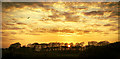 Sunset from Annan Harbour.