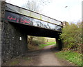 East side of Aberfawr Road bridge, Abertriwdr