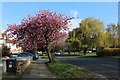 Salmon Street, Kingsbury