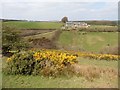 View towards Lyshwell Farm