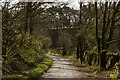 Bramley Head Lane approaching Capelshaw Beck