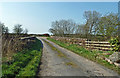 Railway Bridge Near Catrine