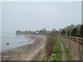 SX9983 : Exe estuary, East Devon Way and Avocet Line south of Lympstone by David Smith