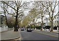 TQ2480 : Holland Park Avenue, Holland Park, London W11 by JThomas