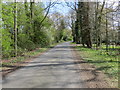 Highfield Lane heading towards the A19