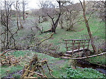 NY6166 : Footbridge over Harrow's Beck by Andrew Curtis