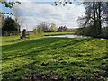 Pond near Towers Farm, Poynton